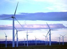 Белоруссия разрабатывает программу развития ветроэнергетики