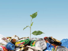 Государственная поддержка в области переработки отходов
