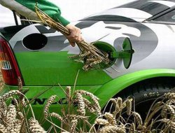Казахстан: рост спроса на биотопливо