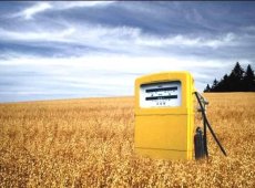 Казахстанский сенат вернул в мажилис законопроекты об обороте биотоплива