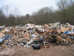 Переработке мусора в Коми мешают пробелы в федеральном законодательстве