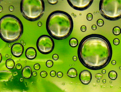 Разработан метод получения биотоплива из отходов производства виски