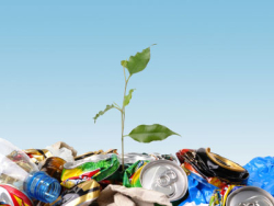 МЕГА внедряет европейскую систему сортировки мусора