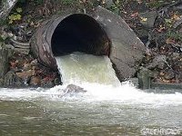 Водочный завод в Таиланде получил энергетическую премию Водочный завод в Таиланде получил энергетическую премию