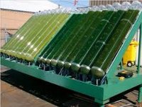 Финская UPM намерена построить крупнейший в мире завод по производству биотоплива второго поколения Финская UPM намерена построить крупнейший в мире завод по производству биотоплива второго поколения