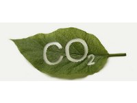Выбросы CO2