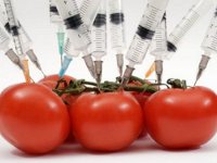 ГМО в России