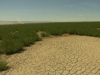Эксперты предрекают Ближнему Востоку острый дефицит воды