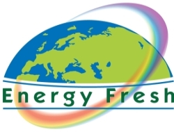ENERGY FRESH 2010