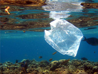 Пластиковый мусор превысит количество рыбы в море к 2050 году