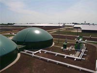 Никарагуа: программа «Биогаз» в действии 