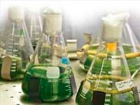 «Обратный фотосинтез» может обеспечить прорыв в производстве биоэтанола
