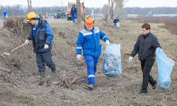 Работники Стойленского ГОКа приняли участие в городском экологическом субботнике