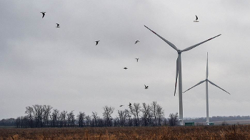 Первая ветряная электростанция может появиться в Липецкой области уже в следующем году