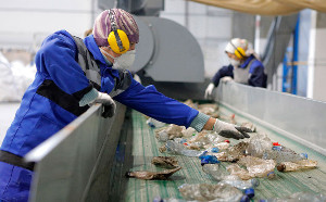 В создание мусороперерабатывающего комплекса на Кубани вложат ₽980 млн В создание мусороперерабатывающего комплекса на Кубани вложат ₽980 млн