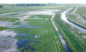 Стоки с полей, животноводческих комплексов и промышленных площадок становятся главным фактором деградации водных объектов 