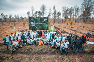 Десятки тысяч новых деревьев появятся в 20 регионах страны благодаря партнёрам акции «Сохраним лес»