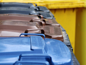 Раздельный сбор отходов запустят в Тюменской области в торговых центрах с декабря