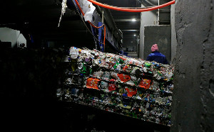 «Российский экологический оператор»: более 30% россиян стали раздельно собирать отходы