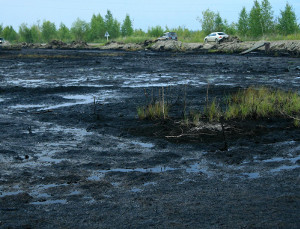 Пермские ученые нашли способ восстановить почвы после загрязнения нефтепродуктами