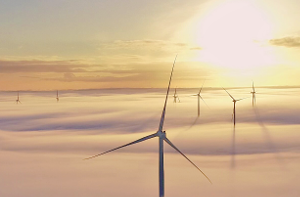 РАВИ представила ежегодный обзор рынка ветроэнергетики