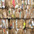 Из отходов картона International Paper будут производить биотопливо