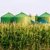 Доля биогазовой промышленности будет расти