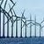 Воздействие оффшорных ветряных электростанций на окружающую среду