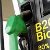 Биодизель может поссорить Беларусь и Украину