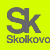 «Сколково» заинтересовали красноярские проекты производства тонкой проволоки и дешевых солнечных батарей