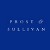 Frost & Sullivan назвала пять наиболее перспективных сегментов на европейском рынке технологий Smart Grid