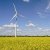 На Украине удвоили «зеленый тариф» для альтернативной энергетики
