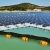 В Японии будет построена крупнейшая солнечная электростанция