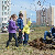 Власти Москвы объявили конкурс на посадку деревьев в центре и за МКАДом