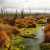 МИБ предоставил грант для проекта по восстановлению торфяных болот в России при сотрудничестве с Wetlands International и KfW