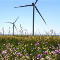 Три ветроэлектростанции введены в эксплуатацию Фондом развития ветроэнергетики