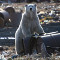 Россия без мусора: ВООП и National Geographic Россия занялись экопросвещением страны