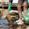 Раздельный сбор отходов и уборка берегов водных объектов от мусора обсуждены в Минприроды России
