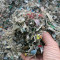 Использование топлива из твердых бытовых отходов при производстве цемента