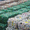 До 75% потока: мусорные заводы рассказали, сколько вторсырья отбирают при сортировке